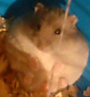 /album/skrecky/dsc00750-jpg/