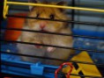 /album/fotogaleria-moje-skrecky/p1010805-jpg/